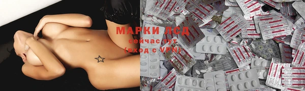 spice Липки