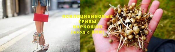 таблы Лиски