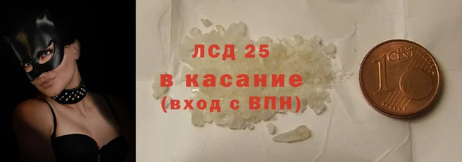 spice Липки