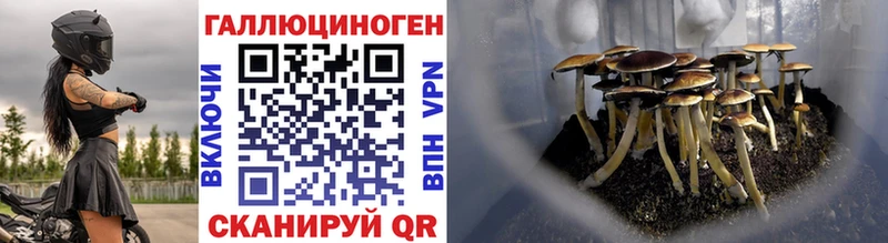 гидра маркетплейс  Трёхгорный  Галлюциногенные грибы GOLDEN TEACHER 